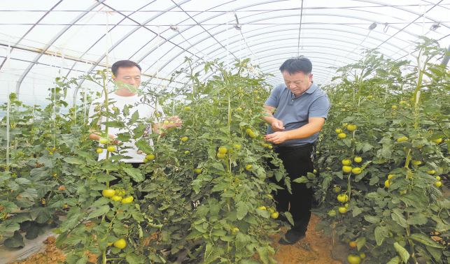 头雁带富领飞 发展活力倍增