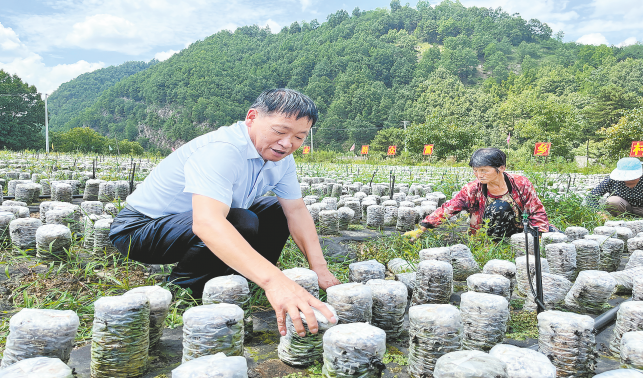 头雁领飞春满堂
