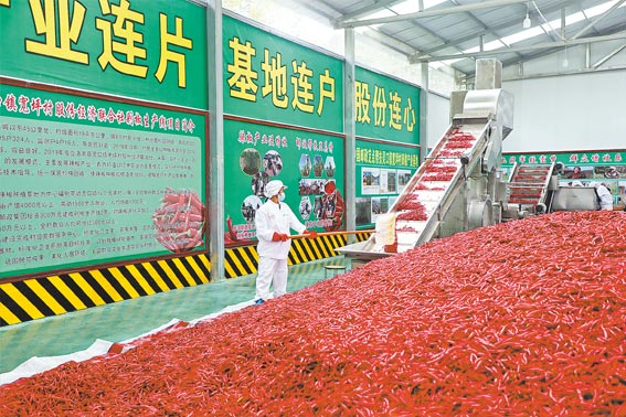 延伸产业链条 促进群众增收