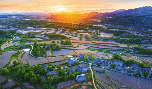 在洛惠渠滋养的这片土地上