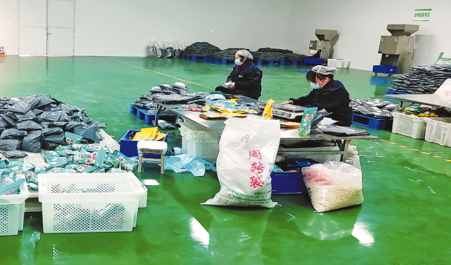 图片新闻