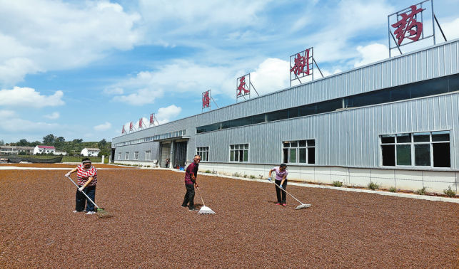 图片新闻
