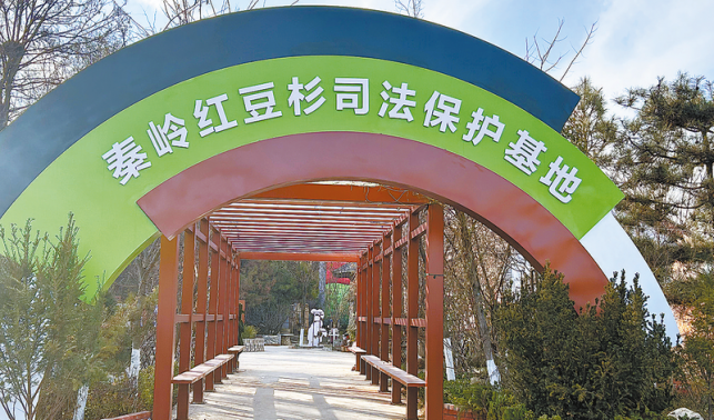 让法治之花在汉字故里绽放
