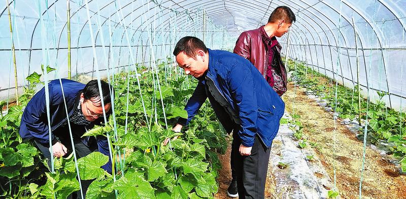实干垦出致富路 善为绽放幸福花