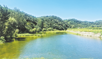 商南 建设秦岭山水乡村 打造生态宜居家园