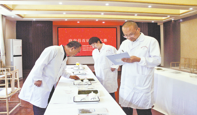 商南举办首届斗茶大赛