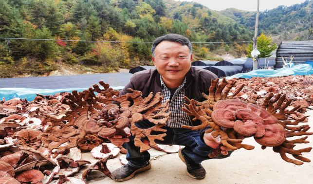十里坪镇 壮大优势特色产业