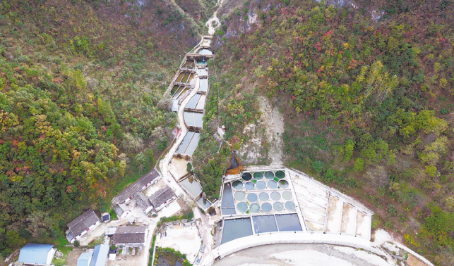 十里坪镇 冷水鱼“游”向大市场