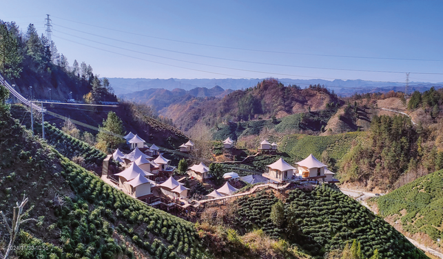 秦岭茶乡旅游度假区项目