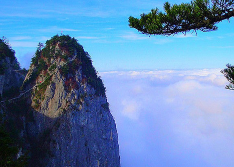 山阳县