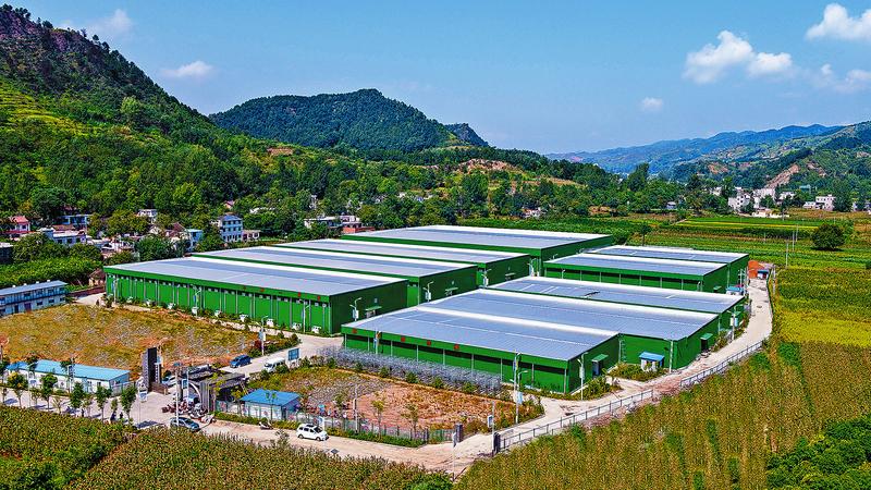 重大项目成为山阳经济发展的强劲引擎和重要支撑