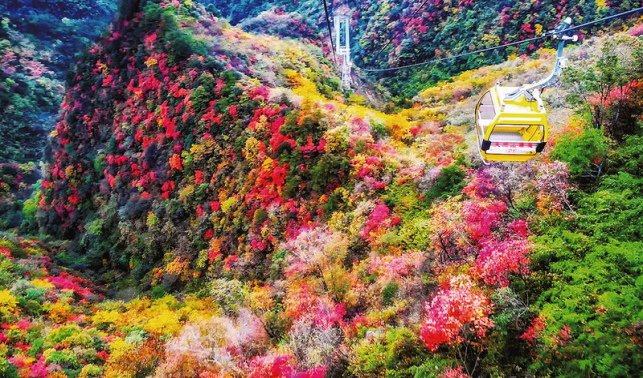 天竺山上新气象