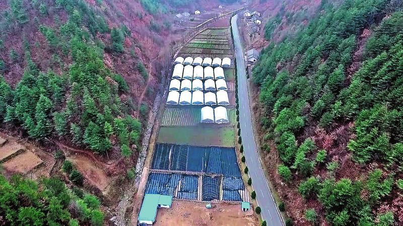 落魄过客 转眼成贫困村致富领路人