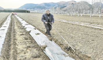 人勤春来早 田间农事忙