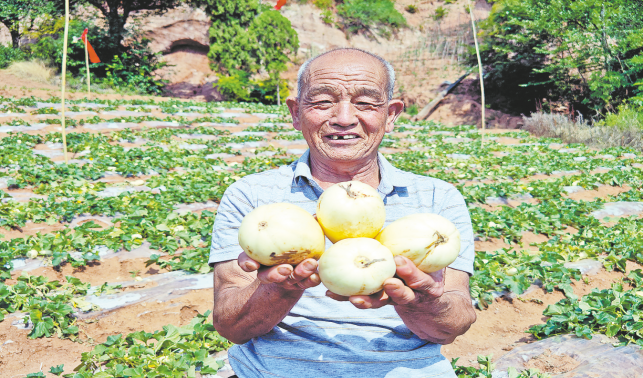 石门沟村瓜果飘香季 田园采摘忙