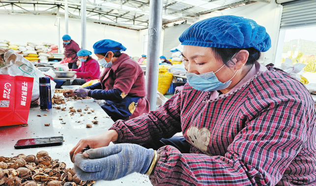 搬出大山日子甜 后续帮扶措施多