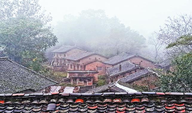 杨山访古村