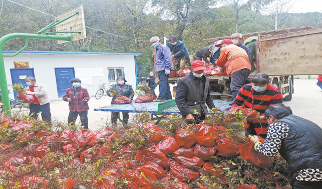 让青春力量在乡村闪光
