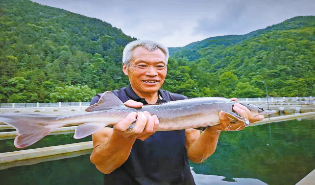 养殖冷水鱼 带动“热经济”