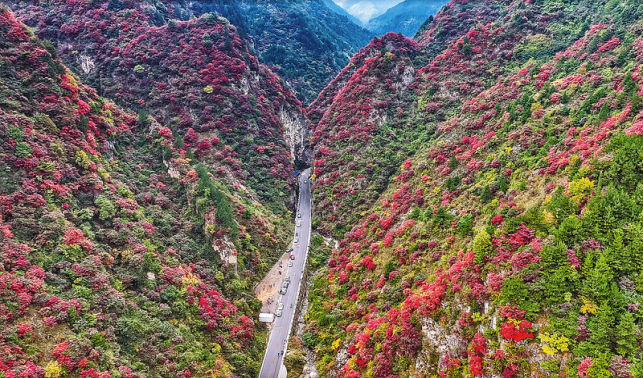 图片新闻