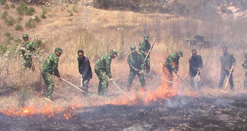 洛南县组织森林防火扑救应急演练