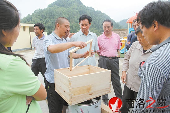 下岗职工宁启林经过工会培训成为养蜂能手，图为他在给基层养蜂户传授经验。