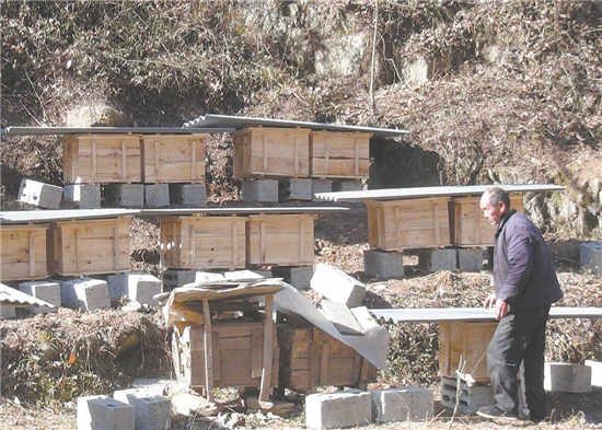 在万寿村打造包扶样板