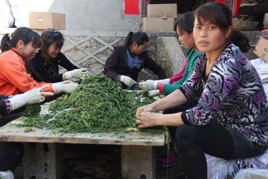 瓦房口镇700名留守妇女家门口就业