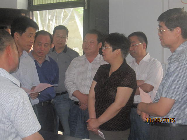 省委省政府来到洛南县督查调研人口计生工作