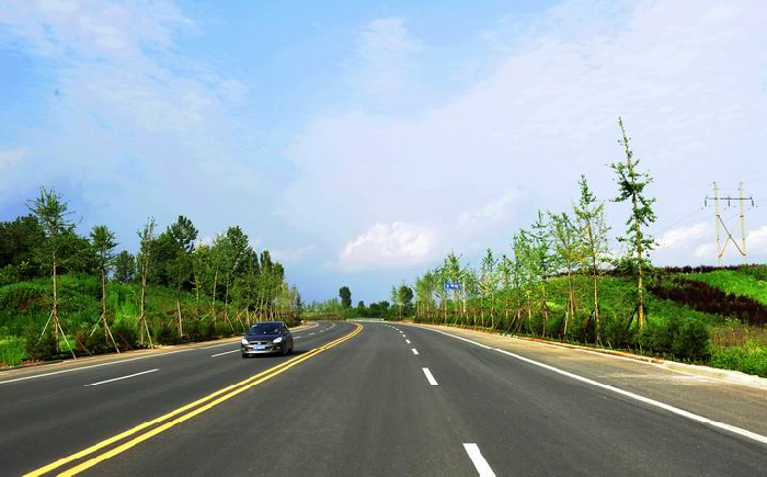 洛南过境北路美丽的风景树成为亮丽的风景