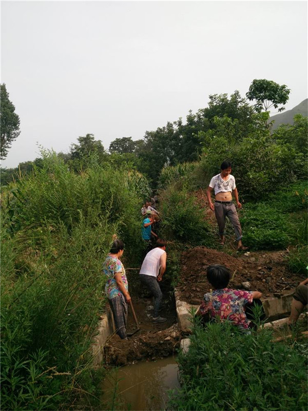 棣花镇发挥支部堡垒作用 打好抗旱攻坚战