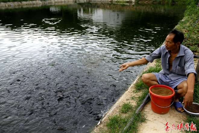 点击查看原始图片 点击查看原始图片