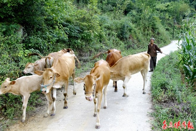点击查看原始图片 点击查看原始图片