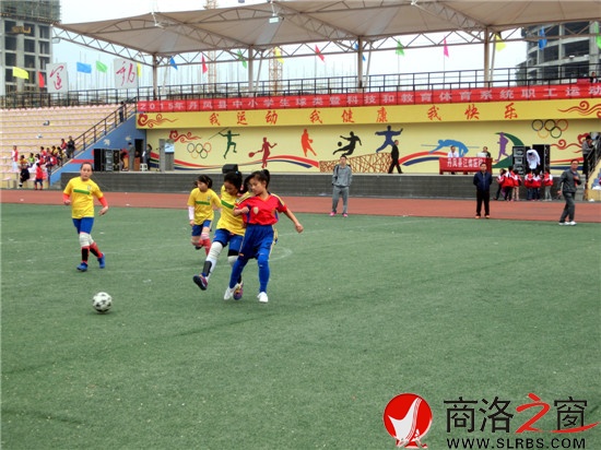 丹凤中小学生球类暨科技和体育教育系统职工运
