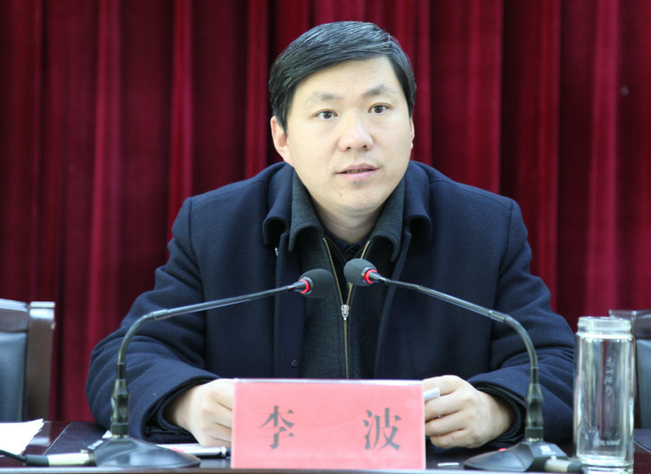 镇安县2016年重点项目推进暨金台山文化景区民居提升改造工作动员会
