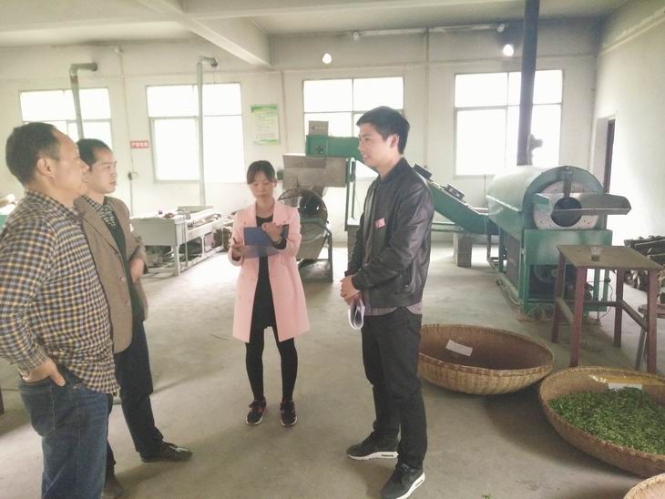 达仁镇扎实开展安全大检查||县区动态_商洛之窗网站 .