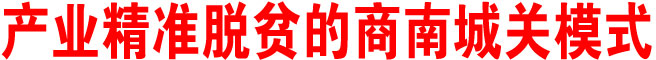 产业精准脱贫的商南城关模式