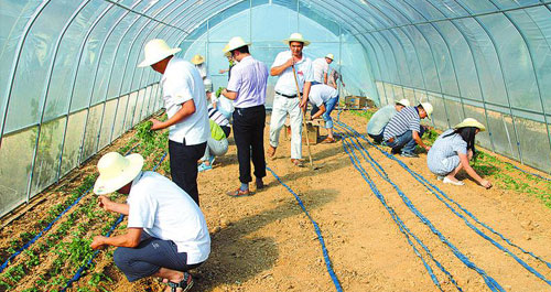 干佑街道办事处党员在脱贫攻坚主战场践行两学一做