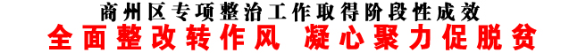全面整改转作风 凝心聚力促脱贫