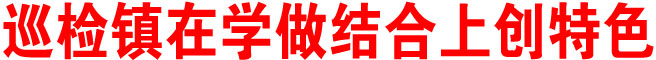 巡检镇在学做结合上创特色