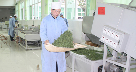 商南县茶叶加工产值达2亿