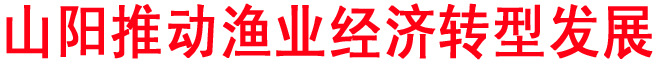 山阳推动渔业经济转型发展