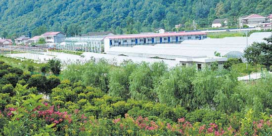 园区引领镇安农业转型升级