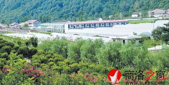 岩湾现代农业示范园高效农业园区