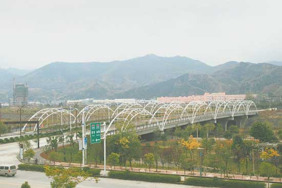 奋力升起的“朝阳”