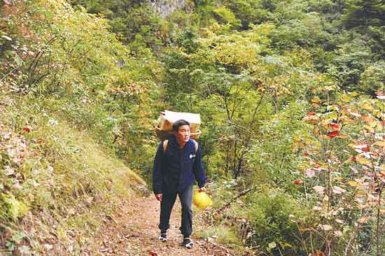 大山深处的独行侠