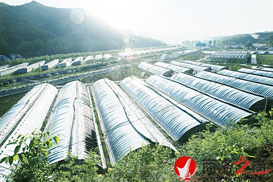 商州优越的投资环境吸引了全球健康产业的原料生产商和供应商森弗公司落户荆河工业区