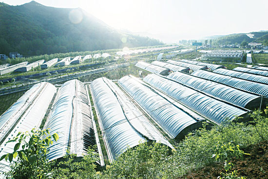 商州在循环发展的道路上阔步前进