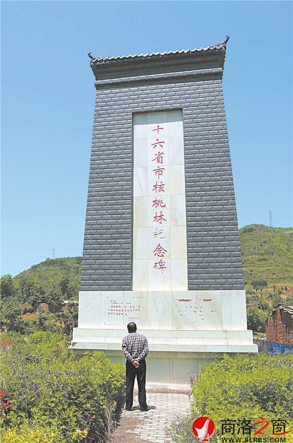 位于丹凤县武关镇的十六省市核桃林纪念碑见证着商洛核桃曾经的辉煌