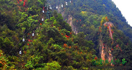 陕西商南金丝峡“商洛第一索”开通运营